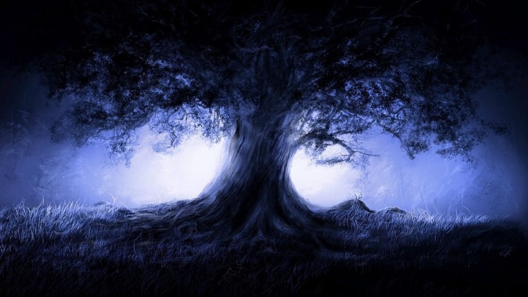 Copse Of The Forgotten