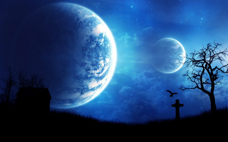 Starlight Night